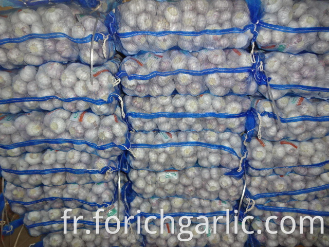 Best Quality Fresh Garlic 5 0cm